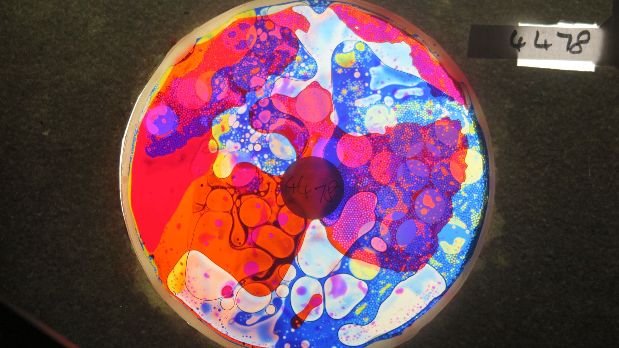 BV4478 bubble vision oil wheel